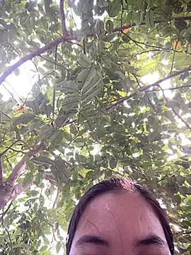 SeraCin online show from March 20, 2026, 7:09 am