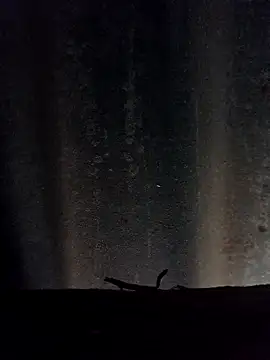 Snapshot of leitan01 chatting on March 21, 2026, 12:31 pm leitan01 online show from March 21, 2026, 12:31 pm