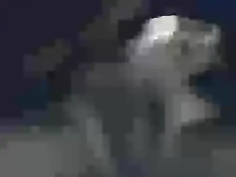 carlosruiz1152 online show from March 24, 2026, 6:35 am