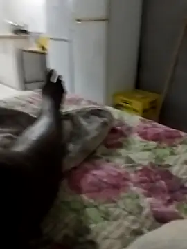 sugardamm online show from March 29, 2026, 10:44 pm