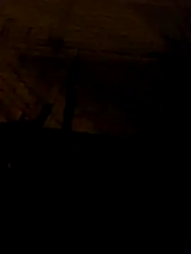 tuchokolatit0 online show from April 1, 2026, 3:52 am