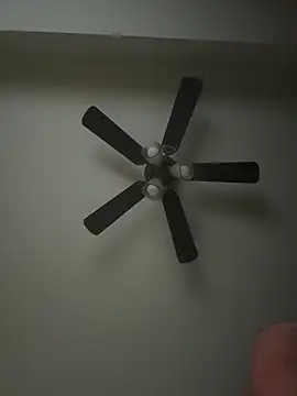 whitelioncody online show from April 17, 2026, 7:00 am