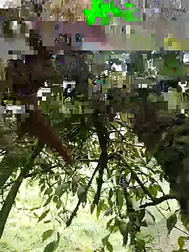xjkedv online show from June 6, 2026, 6:46 pm