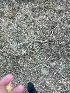 Snapshot of yingzi003 chatting on April 7, 2026, 7:43 am yingzi003 online show from April 7, 2026, 7:43 am