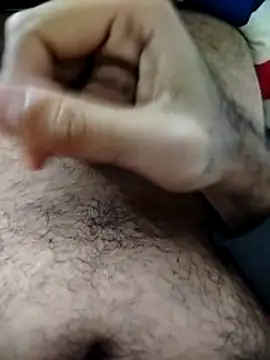 El faa7l online show from April 28, 2026, 4:06 am