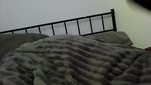 subcdpet online show from April 7, 2026, 10:44 pm