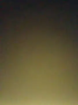 Penniewild online show from July 13, 2026, 8:41 pm