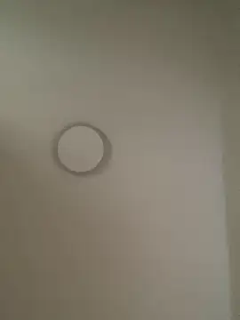 orangeoneday online show from April 17, 2026, 3:31 am