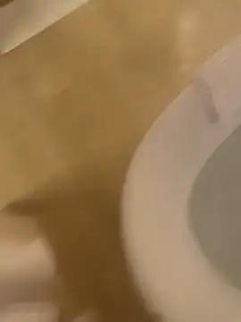 Snapshot of Alexxxa2102 chatting on April 13, 2026, 5:17 pm Alexxxa2102 online show from April 13, 2026, 5:17 pm