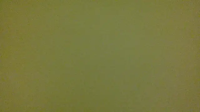 average jack online show from April 16, 2026, 11:29 pm