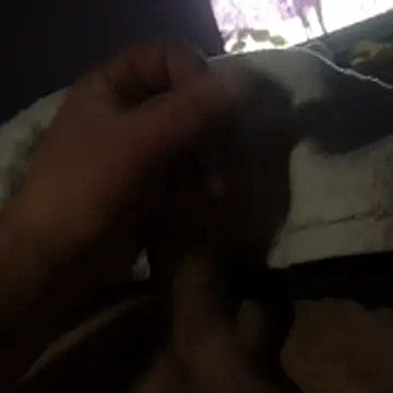 Barloo online show from October 30, 2025, 1:15 am