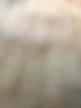 Sanjaykumarsaini online show from April 22, 2026, 7:15 am