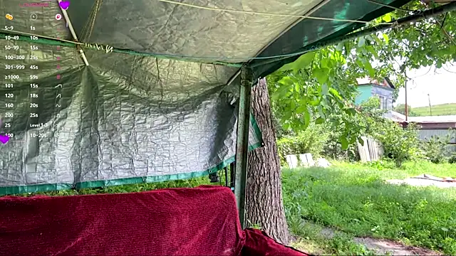 AlberthaBudd online show from June 17, 2026, 5:51 am
