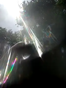 wildexhib online show from April 25, 2026, 1:25 pm