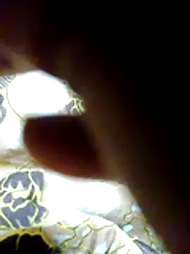 Snapshot of chirboys chatting on May 28, 2026, 2:19 am chirboys online show from May 28, 2026, 2:19 am