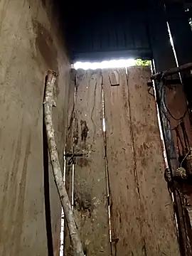 Snapshot of Jinli_01 chatting on May 3, 2026, 11:08 pm Jinli 01 online show from May 3, 2026, 11:08 pm