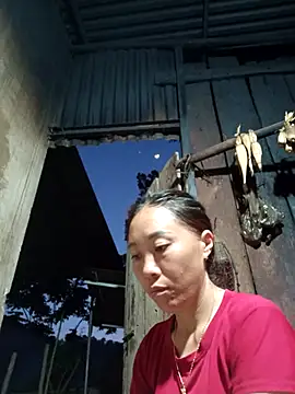 Snapshot of Jinli_01 chatting on May 20, 2026, 12:13 pm Jinli 01 online show from May 20, 2026, 12:13 pm