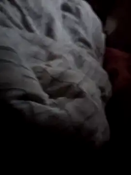 guyswithhardcock online show from June 1, 2026, 4:28 pm