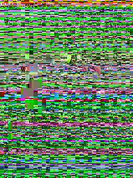 ck1998 02 online show from June 28, 2026, 9:59 am