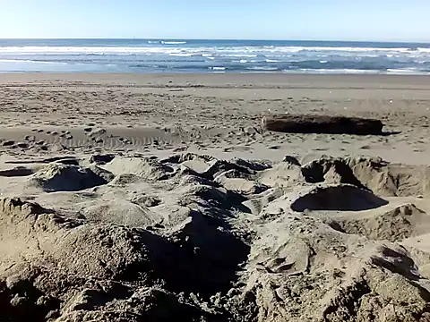 dog-naked online show from January 22, 2025, 10:26 pm