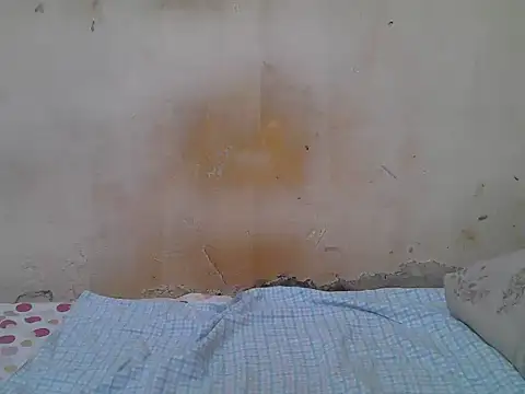 sweet camillah00 online show from July 22, 2026, 1:35 pm
