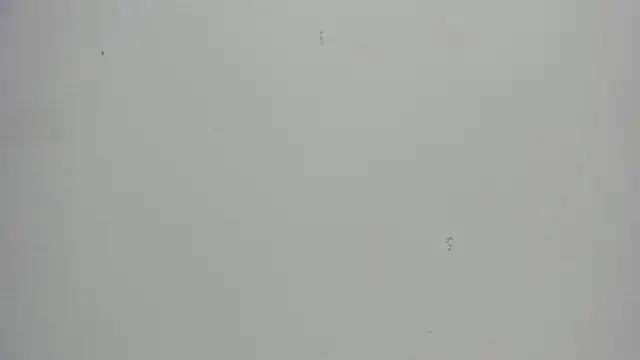 Snapshot of victoriagomez_1 chatting on May 27, 2026, 12:01 pm victoriagomez 1 online show from May 27, 2026, 12:01 pm