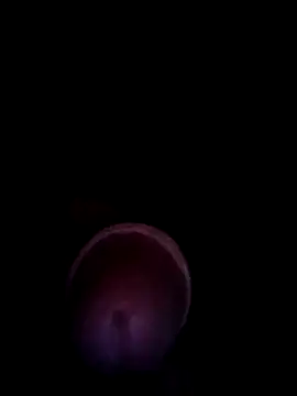 Snapshot of blanquito_leche chatting on July 29, 2026, 4:44 am blanquito leche online show from July 29, 2026, 4:44 am