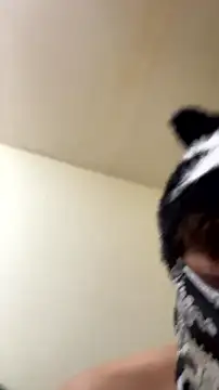 Snapshot of Hz1Tr chatting on July 8, 2026, 11:38 pm Hz1Tr online show from July 8, 2026, 11:38 pm