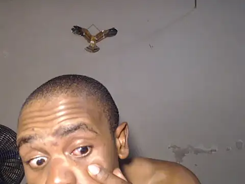 Snapshot of Frank_X_Husle chatting on July 19, 2026, 8:27 pm Frank X Husle online show from July 19, 2026, 8:27 pm