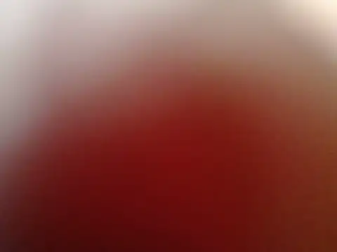 Snapshot of Mia-Zhen chatting on July 12, 2026, 1:06 am Mia-Zhen online show from July 12, 2026, 1:06 am