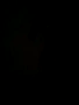Snapshot of hook9sex chatting on June 11, 2026, 4:53 am hook9sex online show from June 11, 2026, 4:53 am