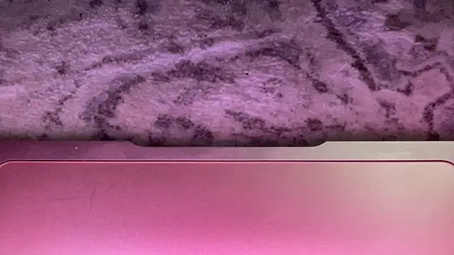 roxxinefox online show from June 7, 2026, 7:46 am
