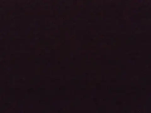 Snapshot of EllieTan chatting on August 5, 2026, 5:34 am EllieTan online show from August 5, 2026, 5:34 am