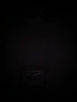 Beelovee98 online show from July 1, 2026, 6:36 am
