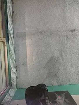 Snapshot of elmer156 chatting on July 18, 2026, 4:48 pm elmer156 online show from July 18, 2026, 4:48 pm
