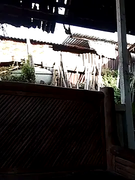 Andrea0414 online show from February 14, 2026, 11:27 pm