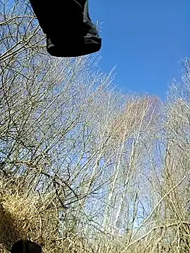 Snapshot of Stavross166 chatting on March 18, 2025, 12:28 pm Stavross166 online show from March 18, 2025, 12:28 pm