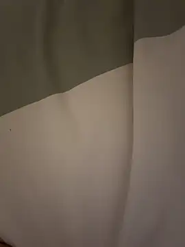 reallifedoll online show from February 14, 2026, 9:04 pm