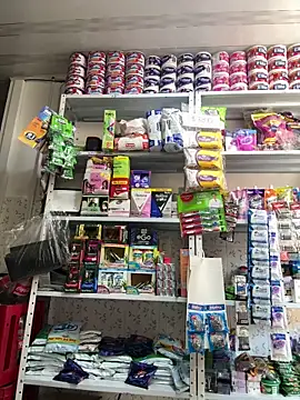 emilyjohanson online show from December 17, 2025, 3:50 pm