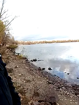 Pokaz2020 online show from October 29, 2025, 1:21 pm