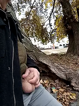 Pokaz2020 online show from October 20, 2025, 11:11 am