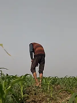 ThethunderPo online show from February 7, 2026, 3:14 am