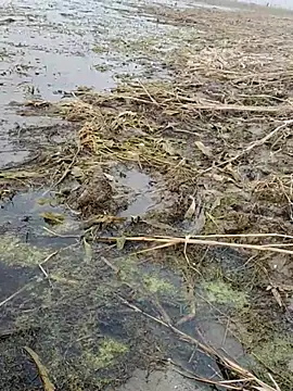 ThethunderPo online show from January 6, 2026, 11:14 am