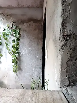 Camilatinass  online show from April 25, 2026, 12:41 pm