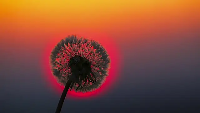 Snapshot of Sunning2 chatting on September 16, 2025, 9:43 am Sunning2 online show from September 16, 2025, 9:43 am