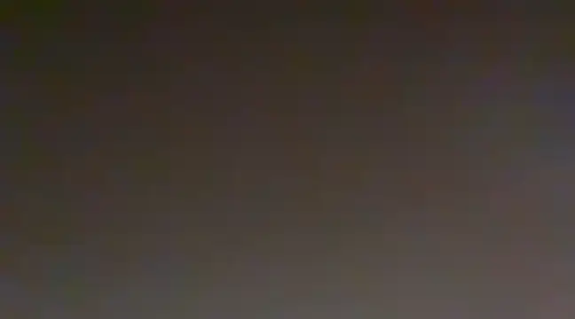 Snapshot of Sunning2 chatting on December 20, 2024, 11:00 am Sunning2 online show from December 20, 2024, 11:00 am