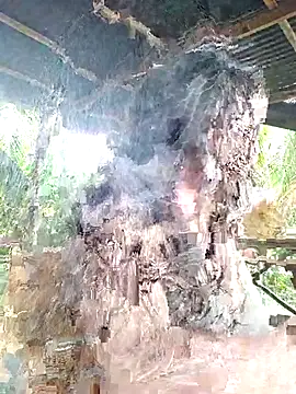 loveuu-bae online show from October 23, 2025, 9:35 pm