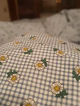 geilerboy2628 online show from April 4, 2026, 11:11 pm