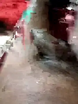 Bengali BULL1 online show from March 1, 2026, 5:35 pm