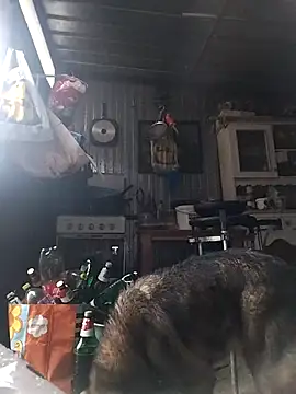 sarpe4 online show from February 15, 2026, 3:00 pm